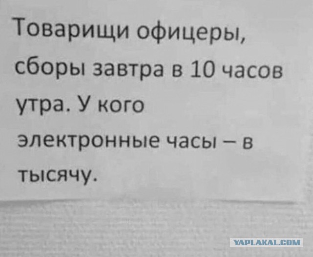 Мужчины умнеют. Женщины негодуют