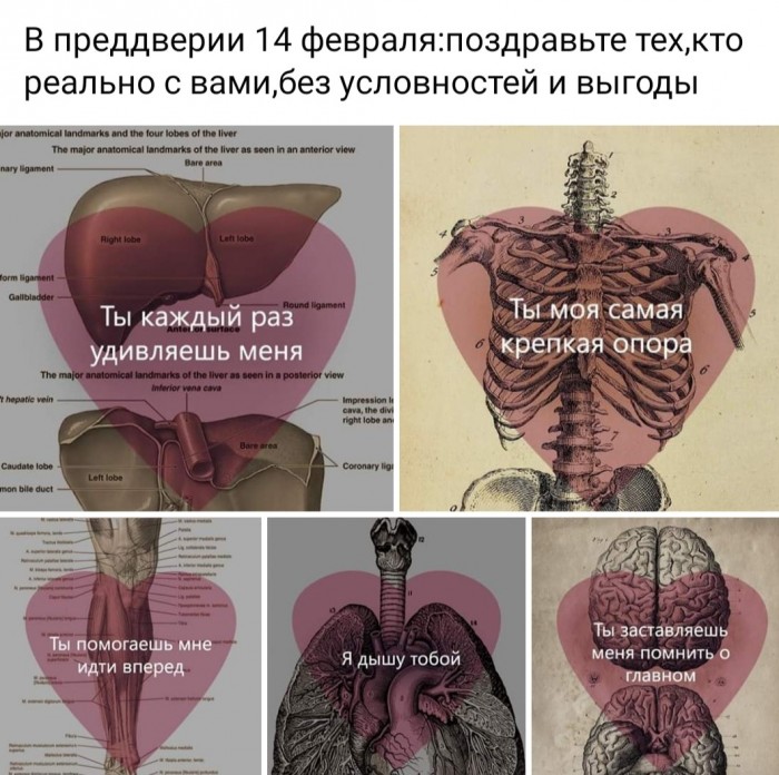 Бредзона 14.02.2020