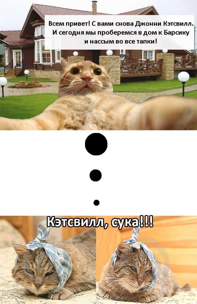 Приключения Джонни Кэтсвилла