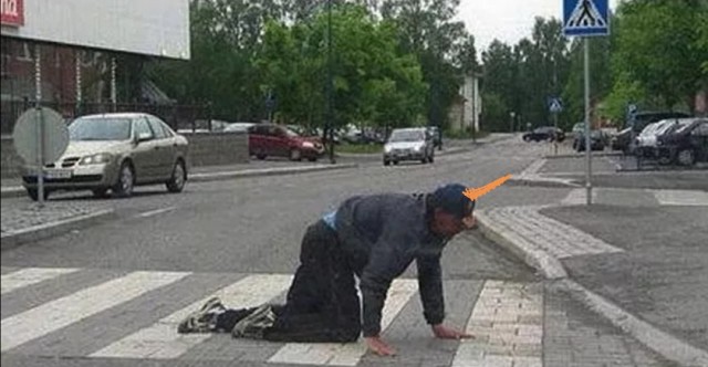 Единорожка