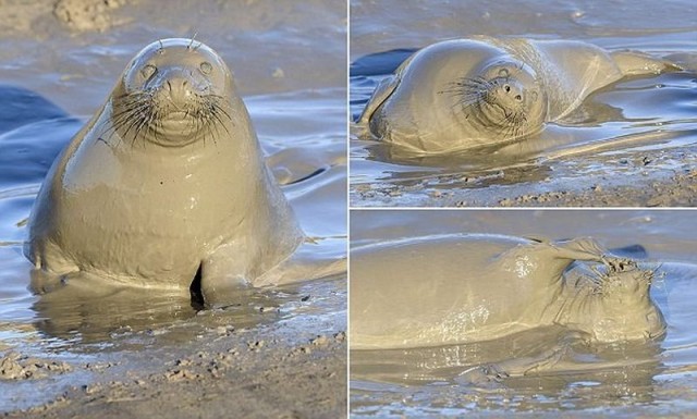 Рыбалка и водка