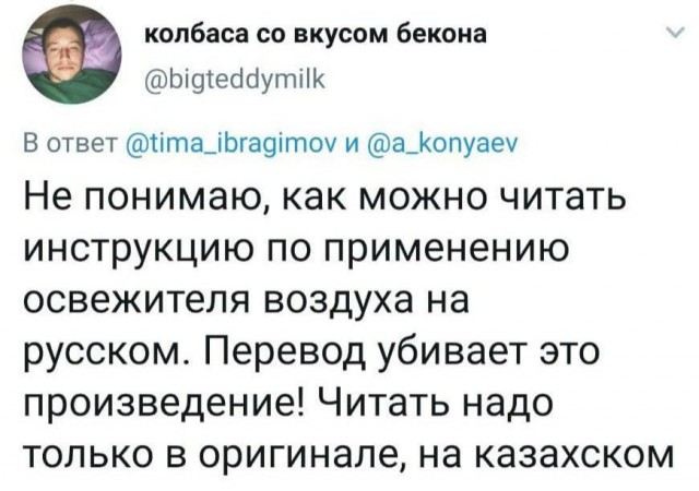 Фотки и картинки: юморные и красивые, забавные и милые 09.11.20