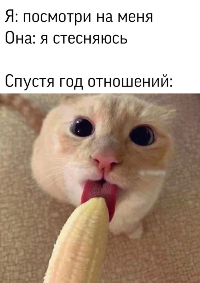 Картинки разные 10.01.21