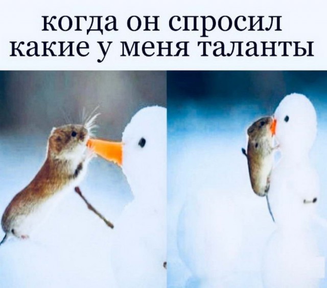 Картинки обо всём и не о чём
