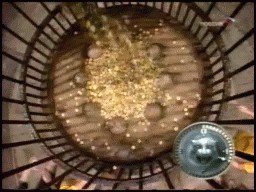 Победитель форта Баярда