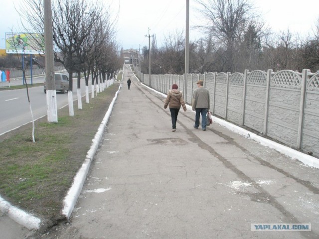 Водителей достал кортеж Януковича