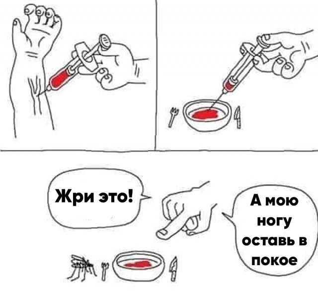 Весёлый полтишок 20.03