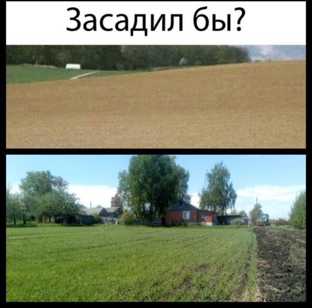 Аморальная деградация