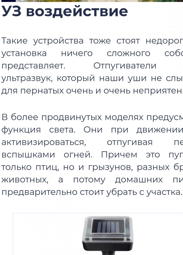 Тамбовчанин распял «евшую его черешню» ворону у себя на участке