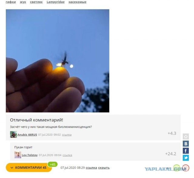 Красота