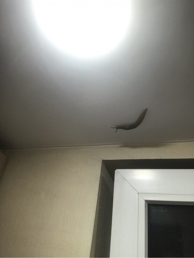 19 человек, чьи впечатляющие находки сперва удивили их самих, а потом и весь Интернет