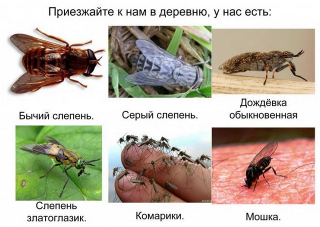 35 картинок разных 14.07.2021