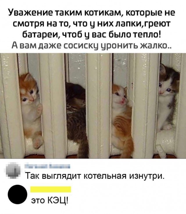 Так себе картинки 23.09.21