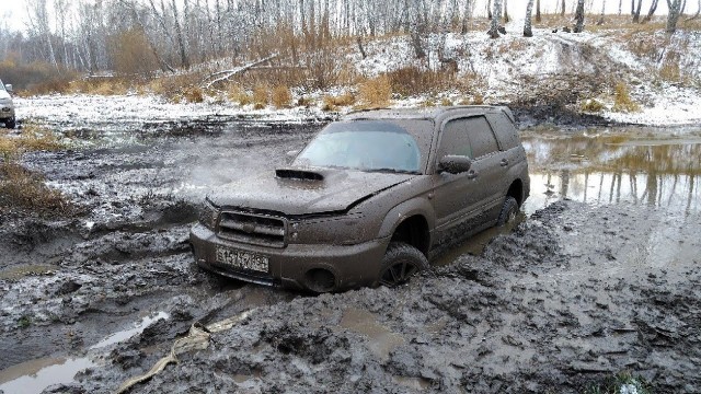 «Выносят микроволновки с мышиным дерьмом»: откровения ремонтника, который выезжает в элитные коттеджи