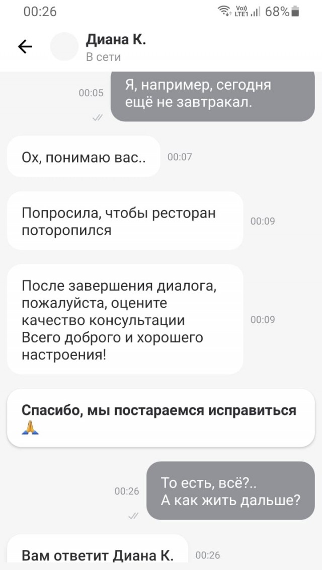 Курьер с шашлыком изчез в метели...