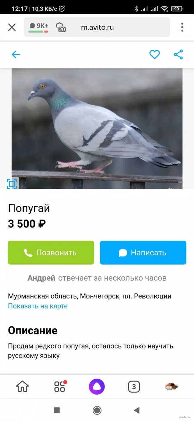 Баянисто-небаянистый юмор 25.07.22
