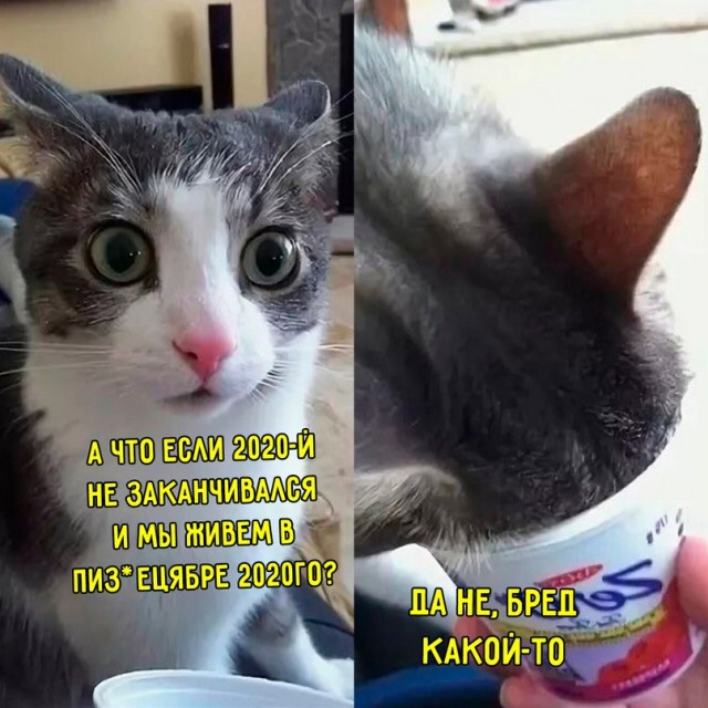Немного картинок для настроения - 119