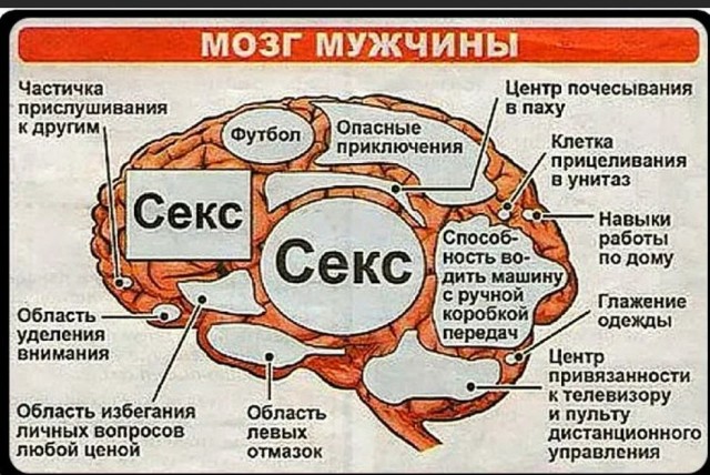 Пандемия съехавших крыш - разновидности болезни. Россия и мир. Часть 40.