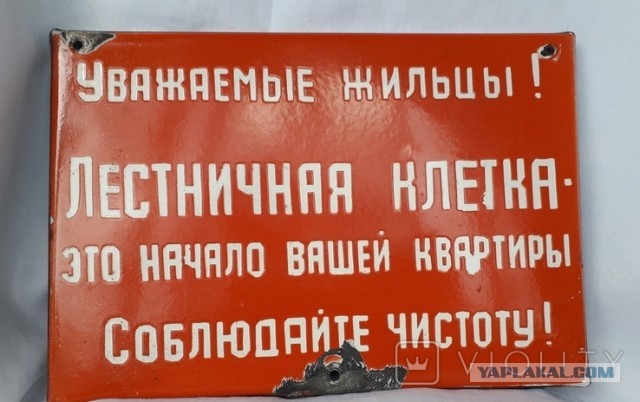 А вы на чём катались?⁠⁠