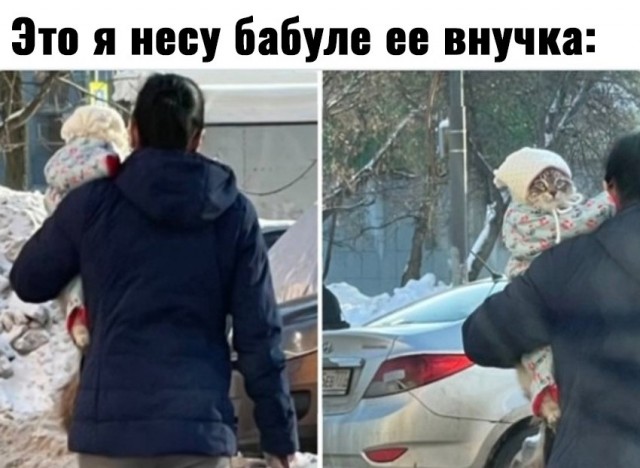 Так себе картинки 22.01.23