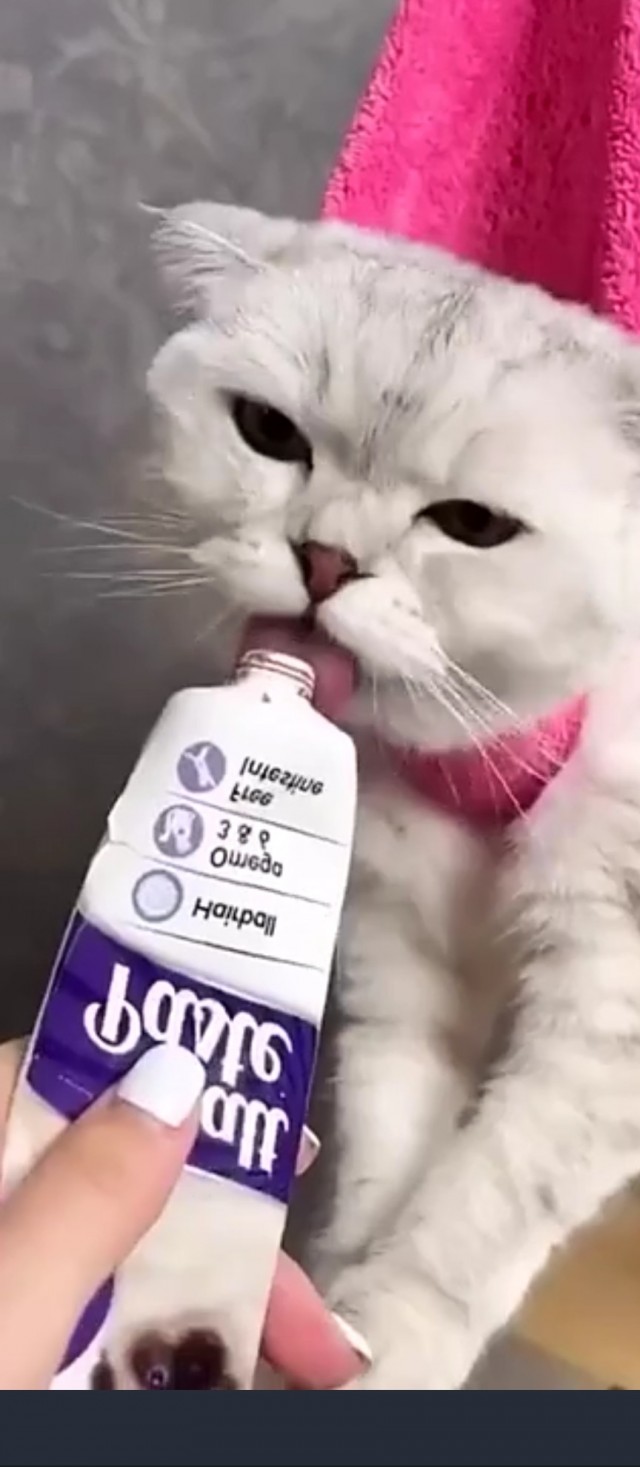 Вот как нужно котику стричь когти