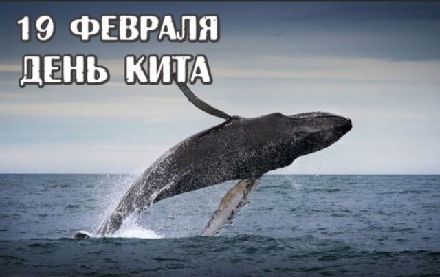 Победная поступь идиотизма по планете – том 8
