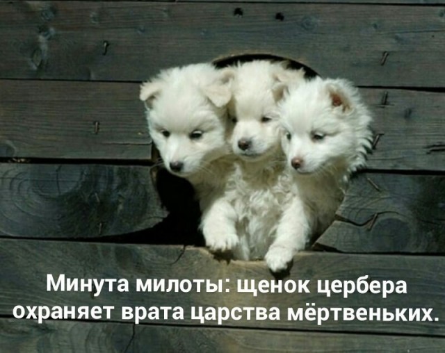 Побег от серых будней