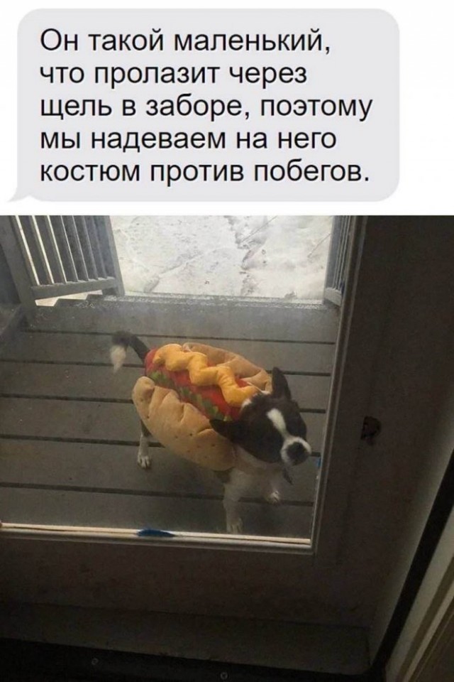 Картинки и мемы, всем хороших выходных