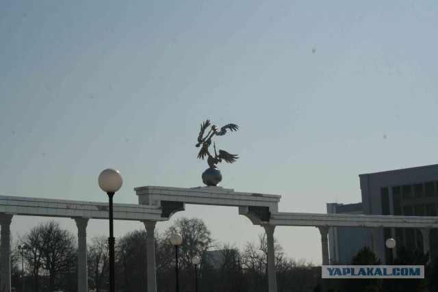 Невероятное приключение!