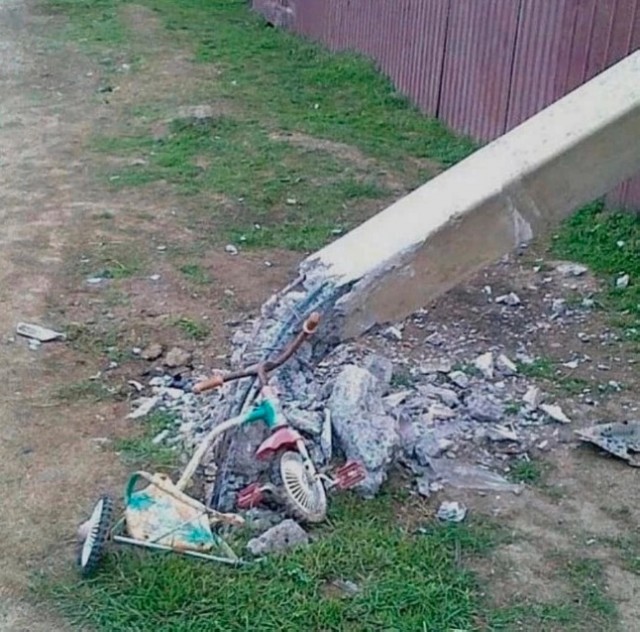 Так себе картинки 17.08.23