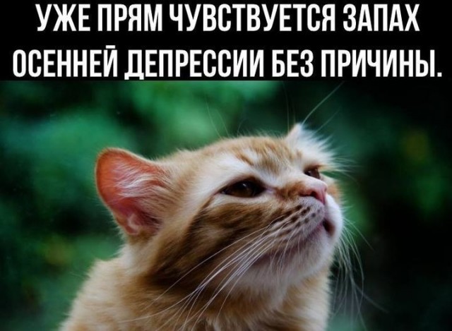 Примерно 15 млн россиян находятся в состоянии глубокой депрессии