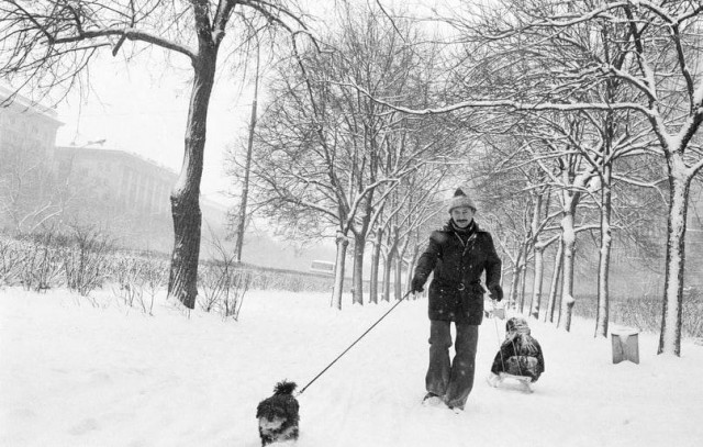 Москва и москвичи. Двадцатый век