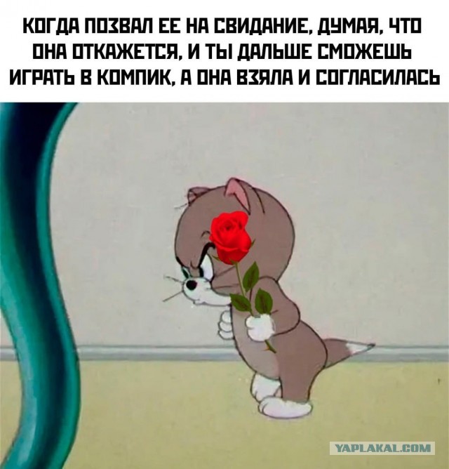 Не много весёлых картинок