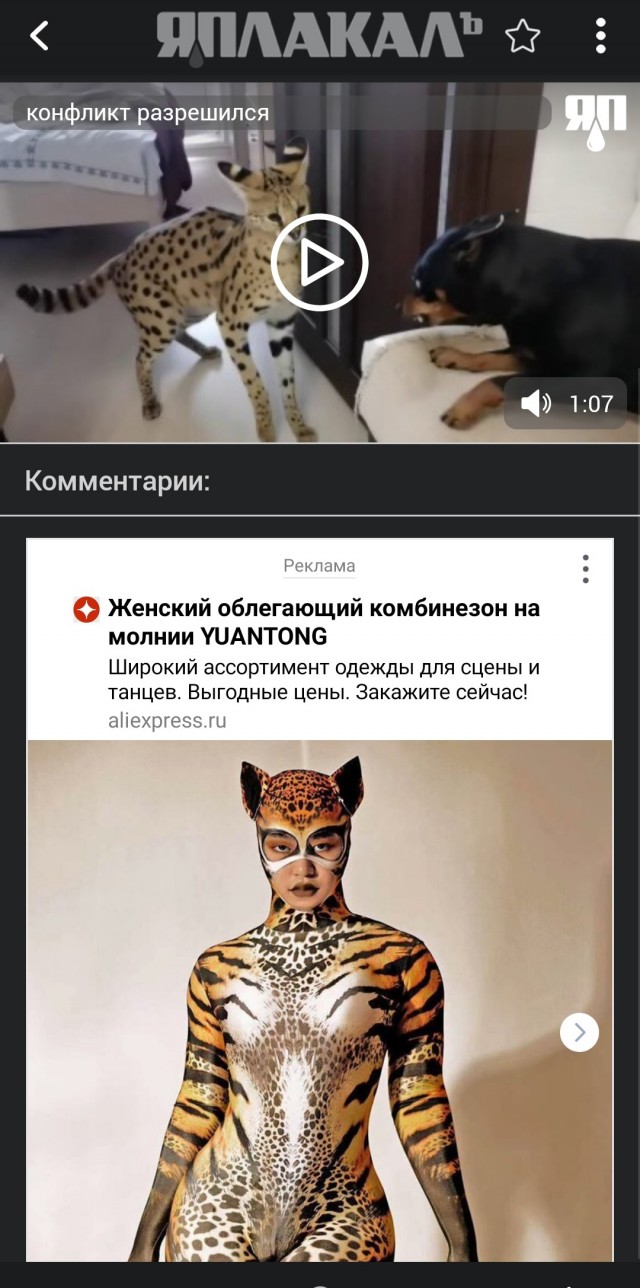 Конфликт разрешился миром