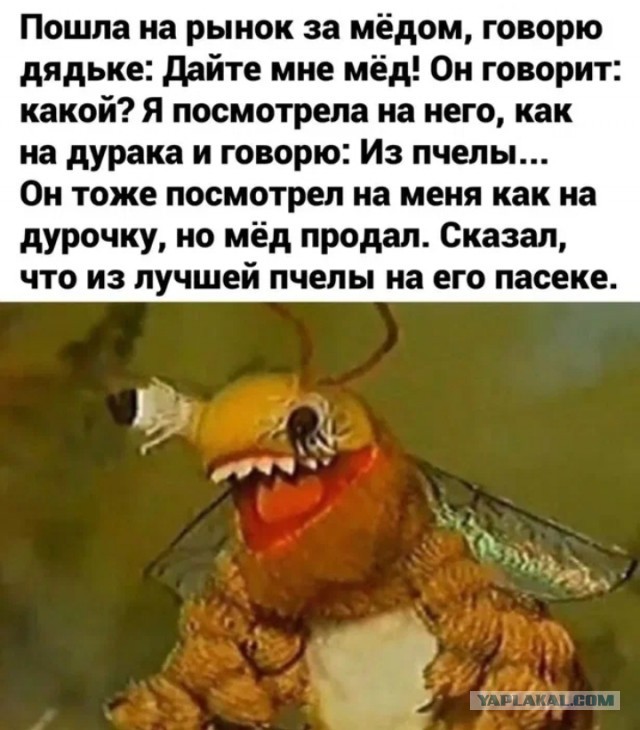 Гусь Новогодний