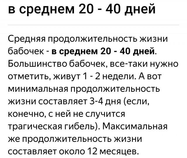 Дюймовочка из советского мультфильма сделала очень скверный выбор