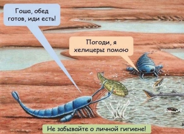 Народная меДИЧина 23