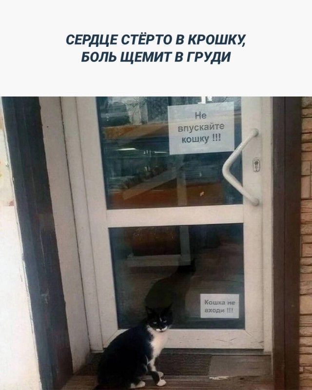 Доставка баянов