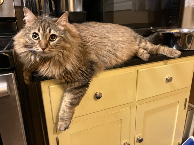 ФотоВинегрет