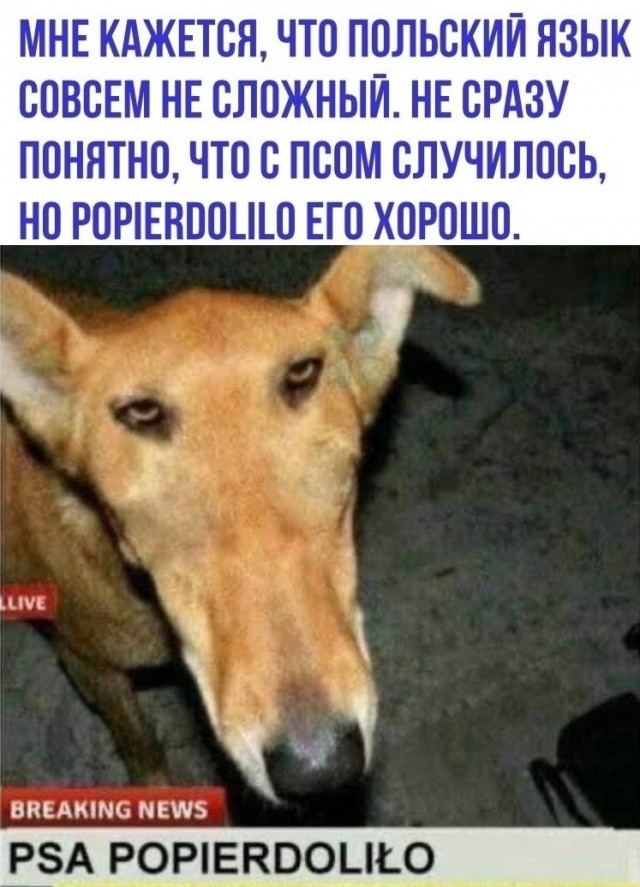 Так себе картинки 09.05.24
