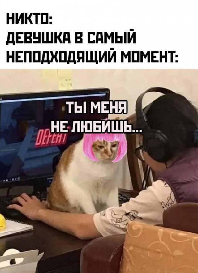 Картинки