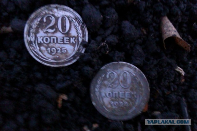 Находки в обычном парке