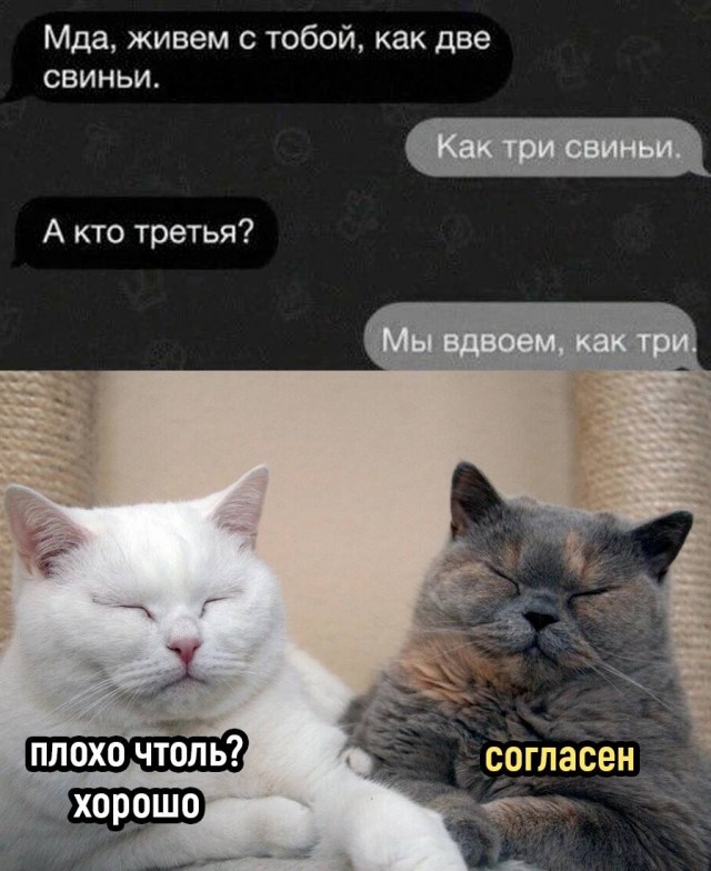 Завалялось тут случайно немного забавных картинок