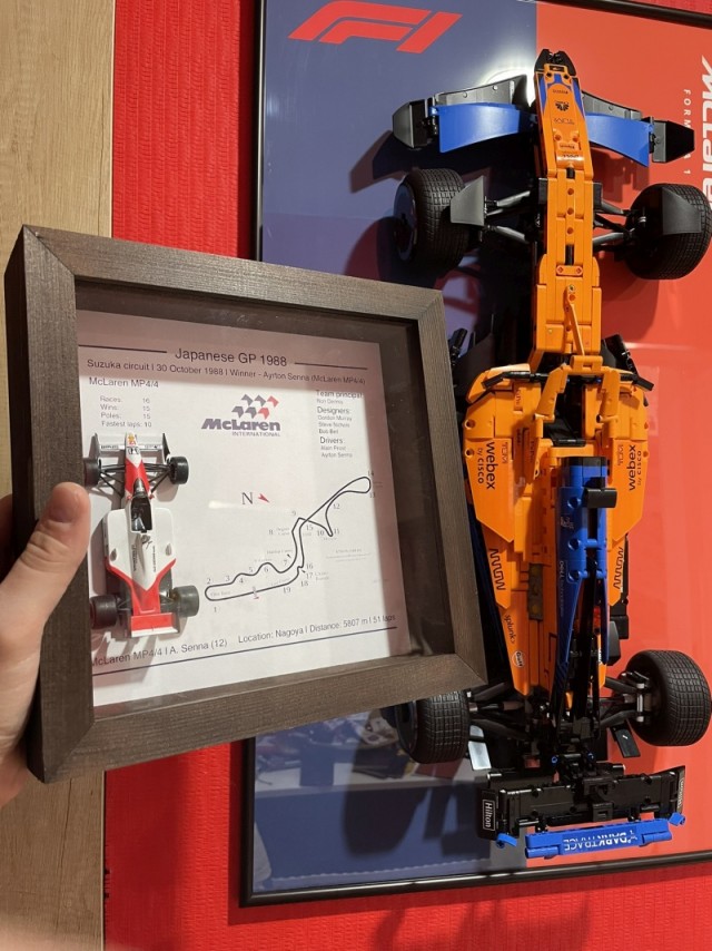 Мой вариант размещения коллекции болидов Формулы 1