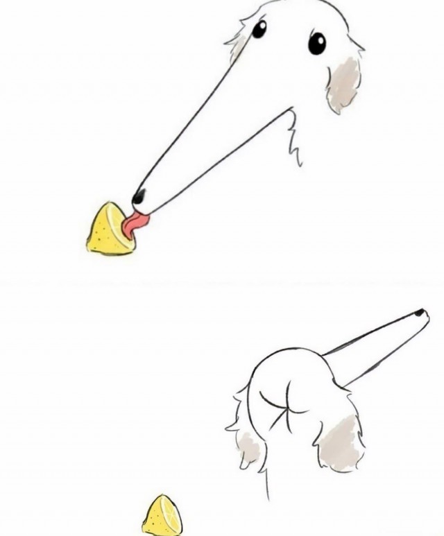 Никакие картинки