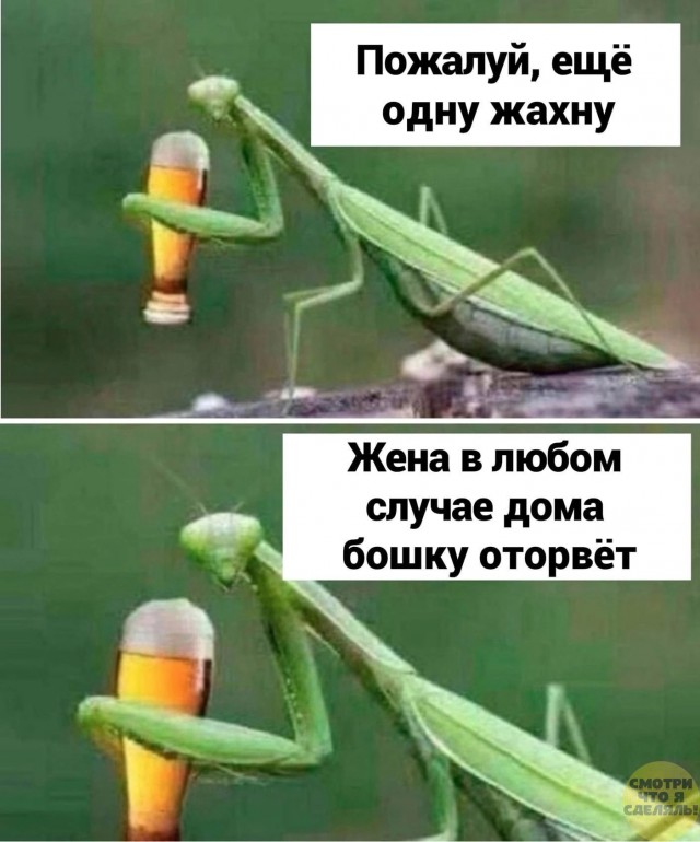 Нуштош 04.10.2024