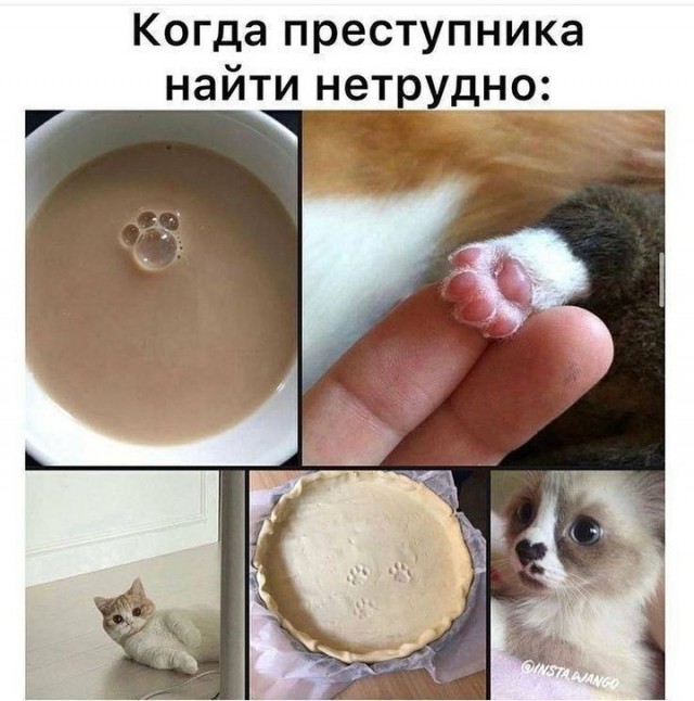 Завалялось тут случайно немного забавных картинок