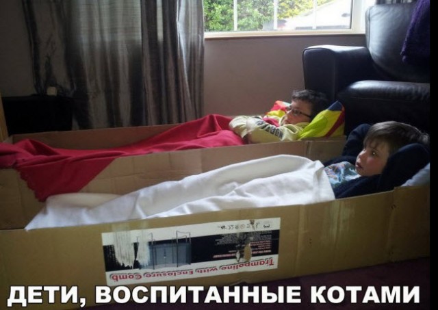 Отборные баяны 10-летней выдержки vol. 4