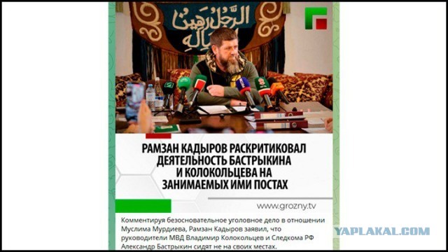 Банда Муслима: За кого вступился Кадыров, пойдя против Бастрыкина и Колокольцева?