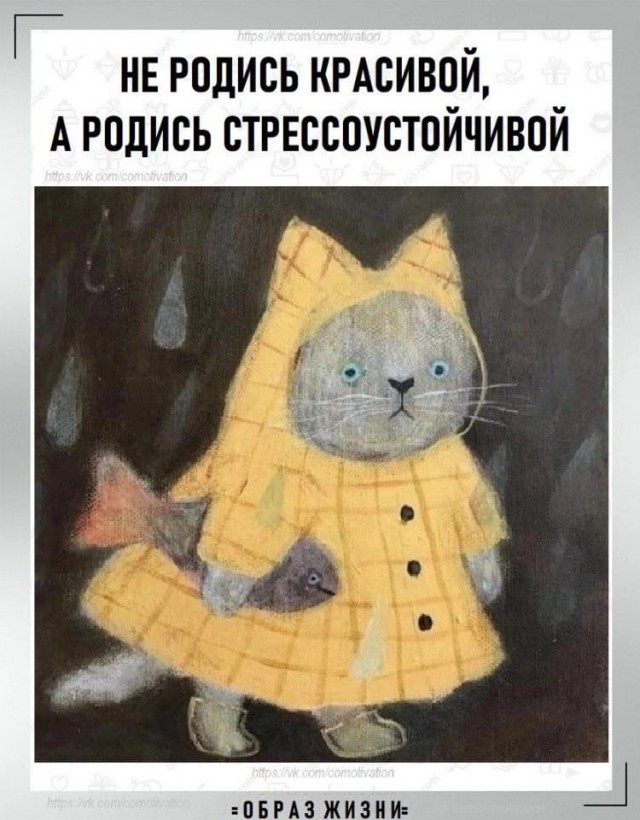 Всего понемногу. От 24.01.25